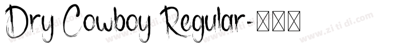 Dry Cowboy Regular字体转换
